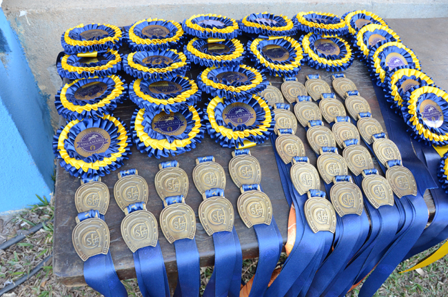 Medalhas e escarpelas da premiação por prova