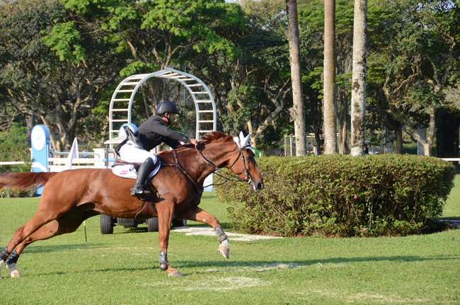 Mario com Ubiquiste de Grandheid