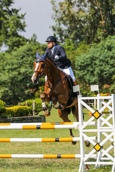 Pete e Continue 7 em belo clique