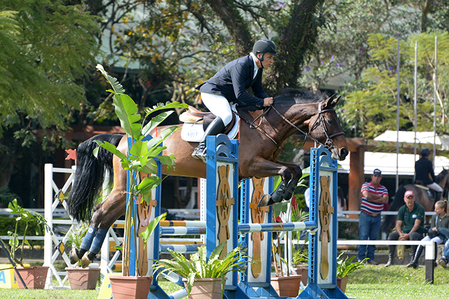 100% de aproveitamento para o cavaleiro e anfitrião Francisco Mari e Wybalia Sanol Dog: campeão Master B