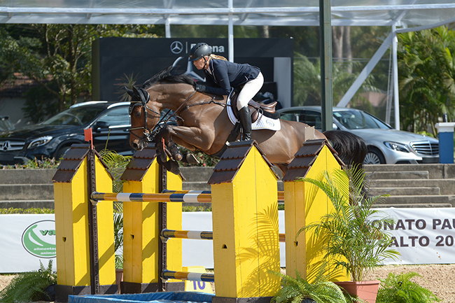 Patricia e Lord Blue Mystic Rose