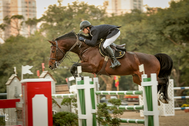 O cavaleiro santamarense Pedro e Germanico T, de propriedade de Ricardo Facchini, sócio da SHP