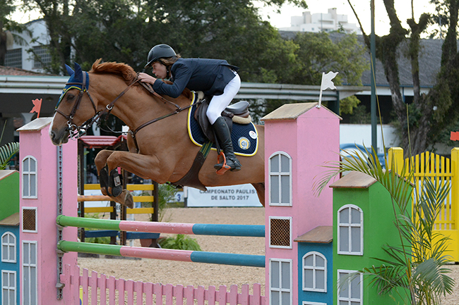 Dudu com seu novo cavalo Goldlife CHCP, um Brasileiro de Hipismo de 8 anos,